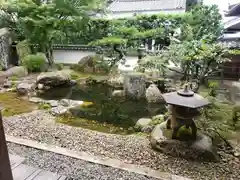 西教寺の庭園