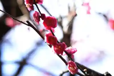 大國魂神社(東京都)