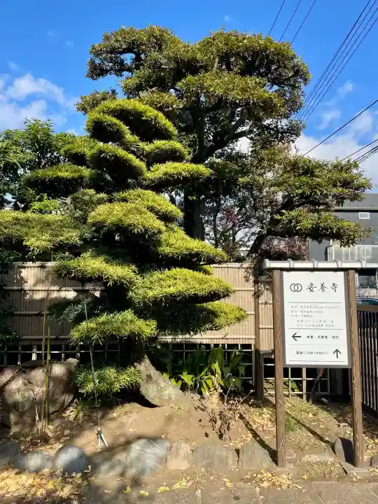 安養寺(東京都)