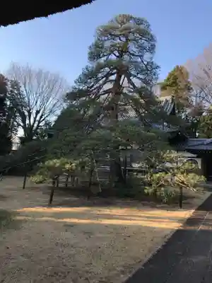 海岸寺の庭園