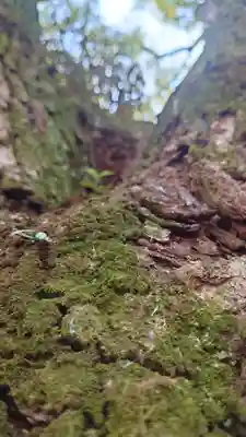乃木神社(東京都)