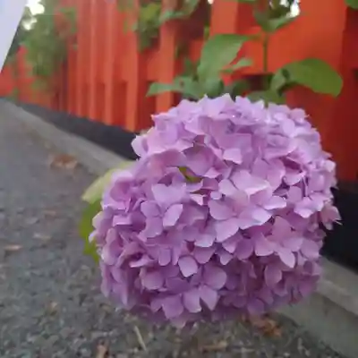 豊山八幡神社の自然