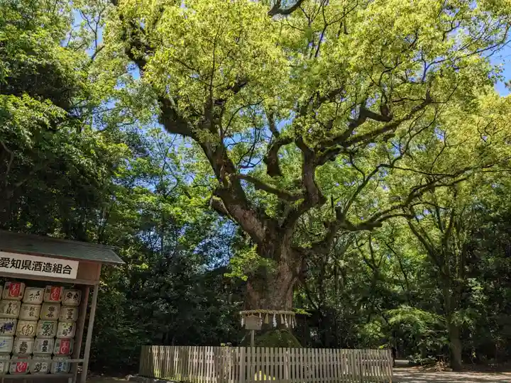 熱田神宮(愛知県)