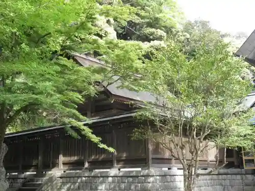 安房神社の本殿