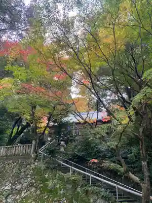 葛木坐火雷神社(奈良県)