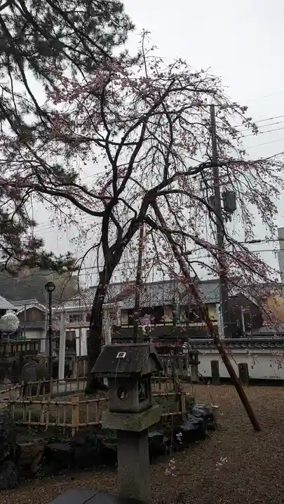 縣神社(京都府)