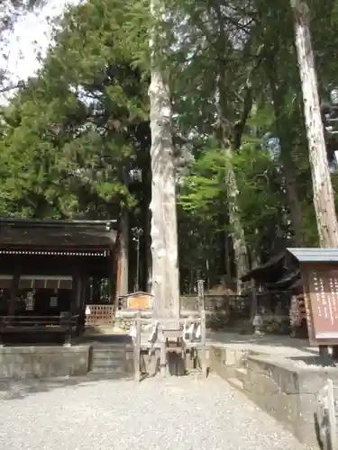 諏訪大社下社秋宮のその他建物