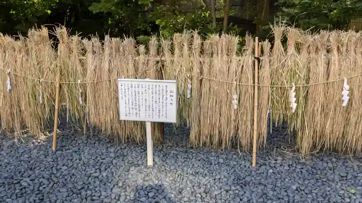 東京大神宮(東京都)