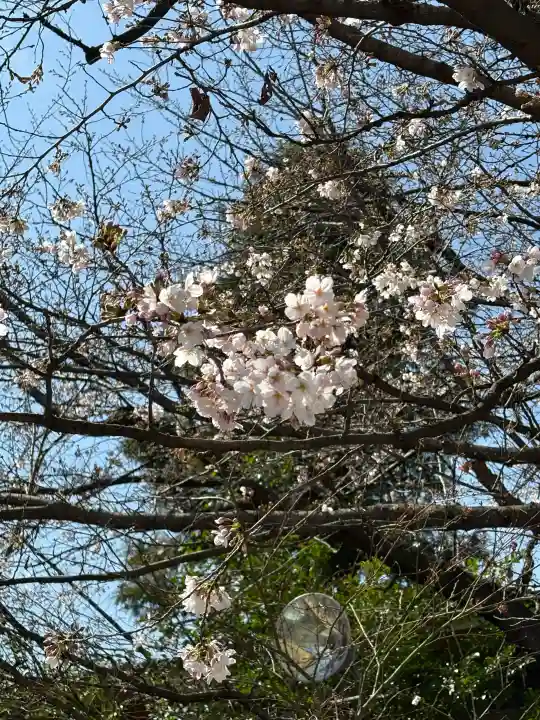 阿佐ヶ谷神明宮の{uncategorized: "未分類", other: "その他", undefined: "問題あり", building: "その他建物", grave: "お墓", sacred_gate: "鳥居", guardian: "狛犬", statue: "像", buddha: "仏像", history: "歴史", nature: "自然", garden: "庭園", animal: "動物", pagoda: "塔", temizu: "手水舎", mountain_gate: "山門・神門", sanctuary: "本殿・本堂", subordinate: "末社・摂社", art: "芸術", scenery: "景色", jizo: "地蔵", ema: "絵馬", goshuin: "御朱印", omikuji: "おみくじ", items: "授与品その他", amulet: "お守り", goshuincho: "御朱印帳", eats: "食事", festival: "お祭り", votive_dance: "神楽", shichigosan: "七五三参", wedding: "結婚式", experience: "体験その他", initially: "初詣", around: "周辺", anti_infection: "感染症対策"}