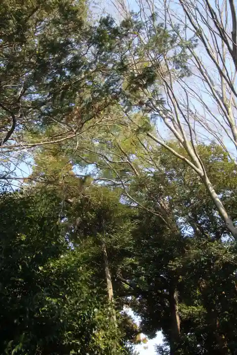佐野赤城神社(栃木県)