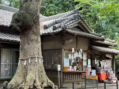 氷川女體神社(埼玉県)