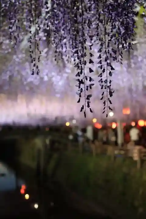 中山熊野神社(福岡県)