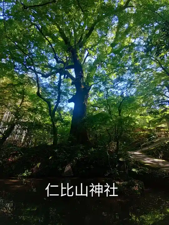 仁比山神社(佐賀県)