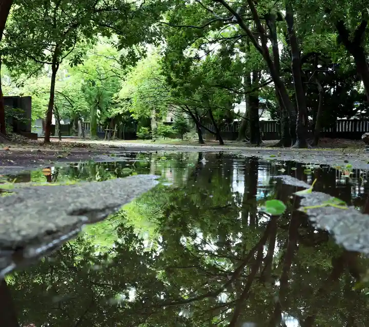 三津厳島神社の自然
