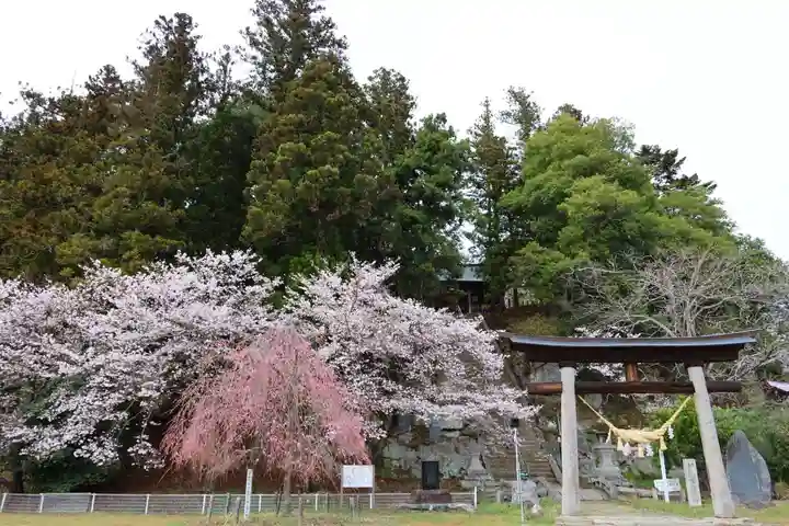田村神社の鳥居