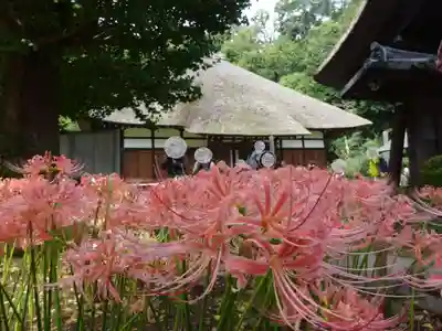 横浜 西方寺の本殿・本堂