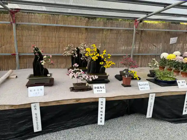 橿原神宮(奈良県)