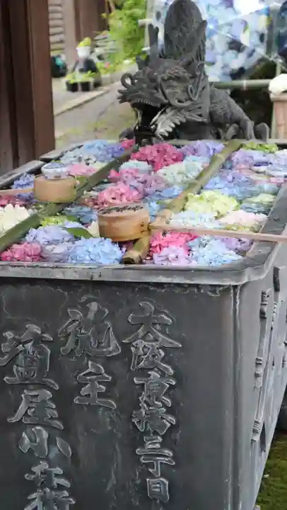 柳谷観音 楊谷寺(京都府)