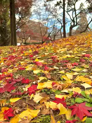 眞田神社の自然