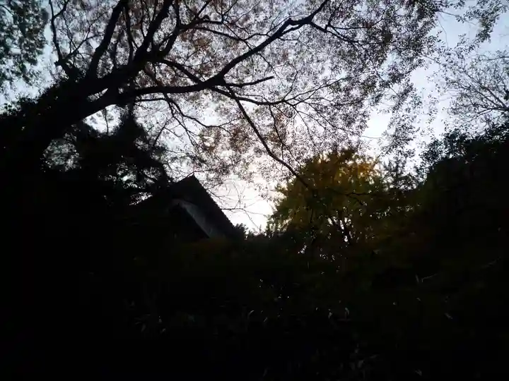 行道山 浄因寺(栃木県)