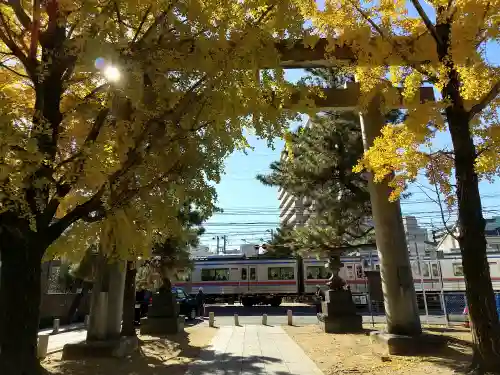 葛飾八幡宮(千葉県)