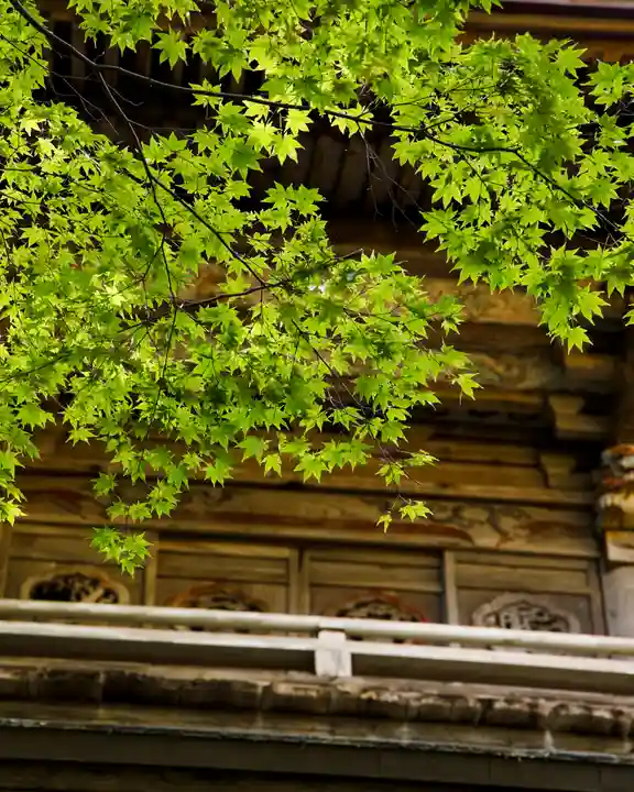 泰寧寺(群馬県)