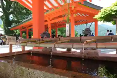 熊野那智大社の手水舎