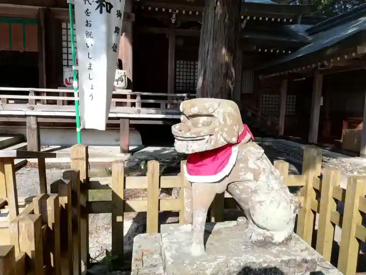 大麻比古神社の狛犬