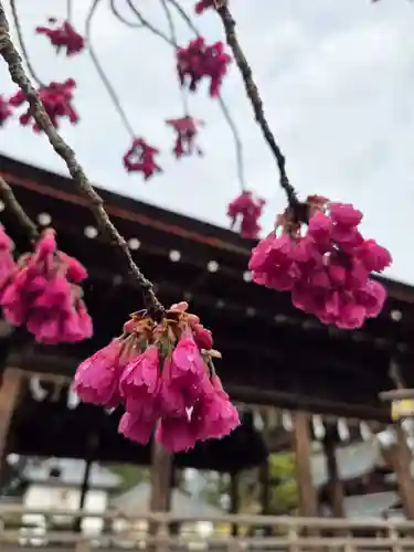 沙沙貴神社(滋賀県)