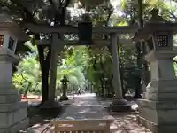 赤坂氷川神社の鳥居