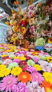 金蛇水神社(宮城県)(2024年09月28日(土) 12時35分19秒投稿)