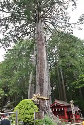 北口本宮冨士浅間神社(山梨県)