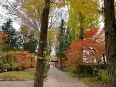 最勝寺の自然