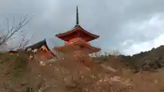 清水寺(京都府)