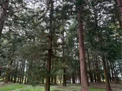 冨士御室浅間神社(山梨県)