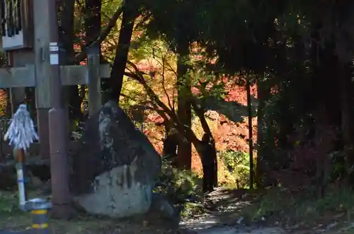 光徳寺の景色