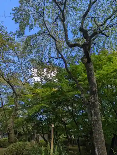勝持寺（花の寺）(京都府)