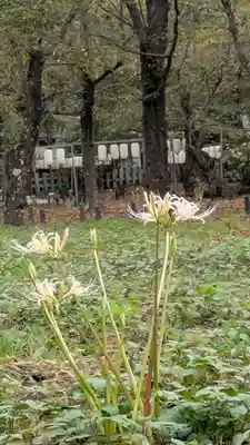平野神社(京都府)