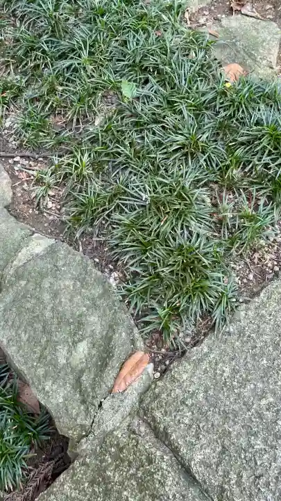 枚岡神社(大阪府)