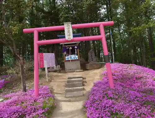 山津見神社の鳥居