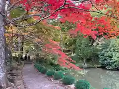 龍穏寺の自然