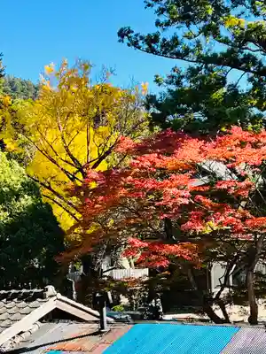 筑波山神社(茨城県)