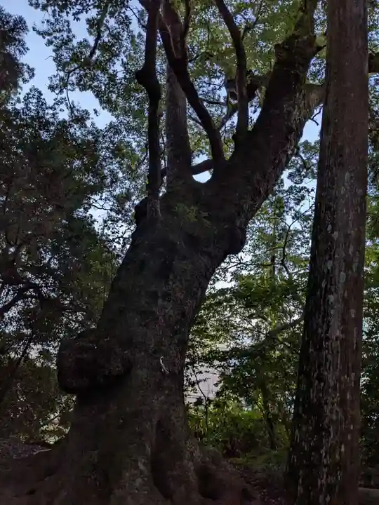 五所明神社(大分県)