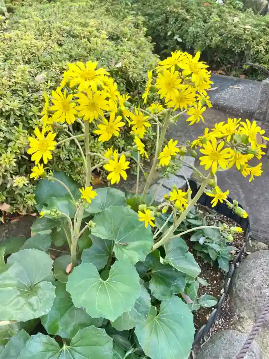 済海寺(東京都)