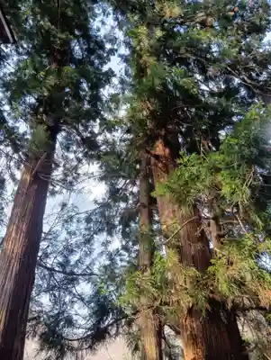 大塩温泉神社(福島県)