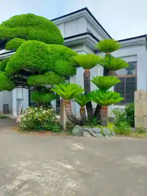 妙法寺(和歌山県)