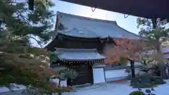 百萬遍知恩寺(京都府)