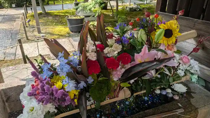 勝林寺(京都府)