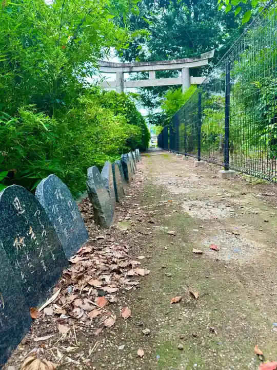 隨心院(随心院)(京都府)