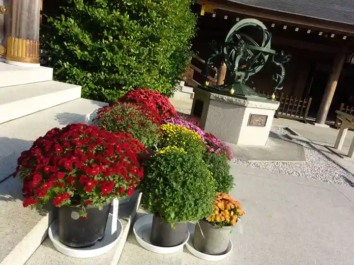 寒川神社の自然